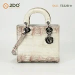 Túi DIOR Size 20