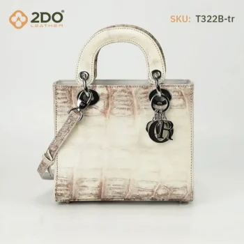 Túi DIOR Size 20